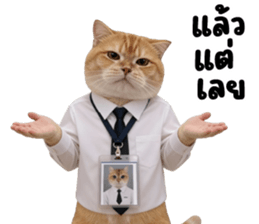 ลายที่ 29