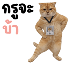 ลายที่ 31