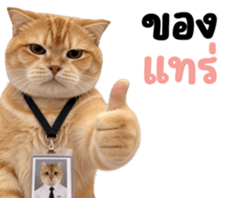 ลายที่ 33