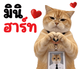 แมวส้มส้ม ❤️ ตัวตึงออฟฟิศ 3 รูปที่ 18
