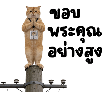 ลายที่ 20