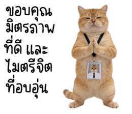 แมวส้มส้ม ❤️ ตัวตึงออฟฟิศ 3 รูปที่ 21