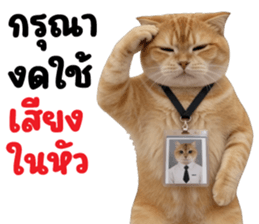 ลายที่ 45