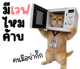 ลายที่ 53