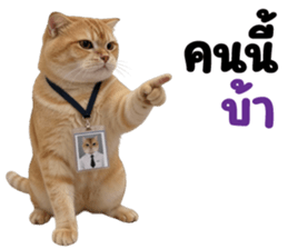 ลายที่ 55