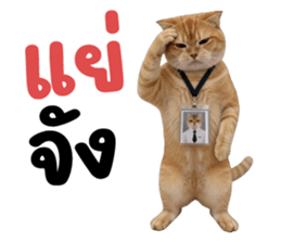 ลายที่ 57