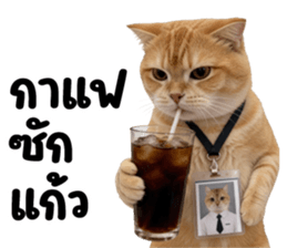 แมวส้มส้ม ❤️ ตัวตึงออฟฟิศ 3 รูปที่ 30