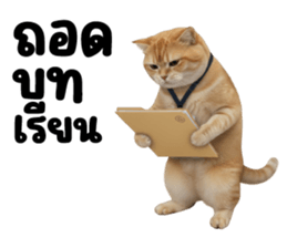 ลายที่ 63