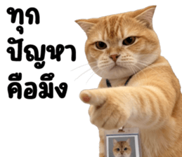 ลายที่ 65