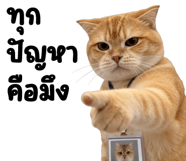 ลายที่ 33