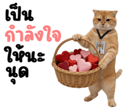 ลายที่ 67