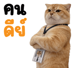 ลายที่ 69