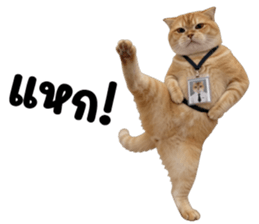 ลายที่ 73