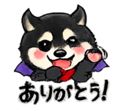 817075506