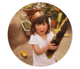 817076693