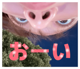 817130952