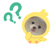 817135992