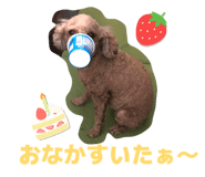 817137515