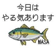 817144692