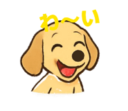 817153854