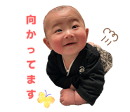 817205886
