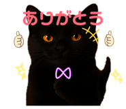 817232355