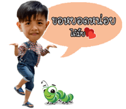 81724411