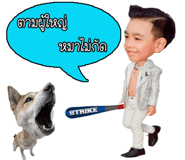 81724415