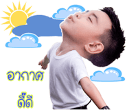 81724418