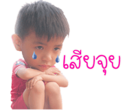81724422