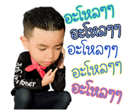 81724425