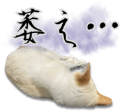 817300208