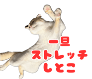 817300219
