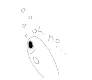 817300794