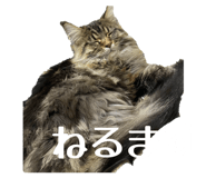 817338742