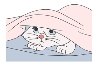 ลายที่ 49