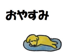 81736997