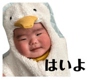 817378553