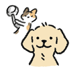 ลายที่ 13