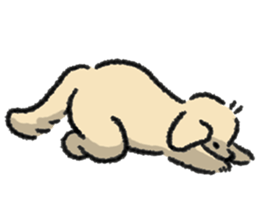 ลายที่ 39