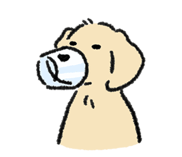 ลายที่ 47