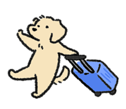 ลายที่ 51