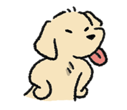 ลายที่ 55