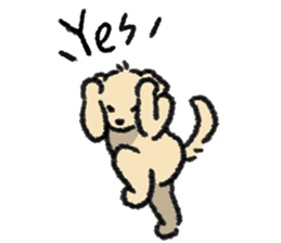 ลายที่ 63