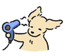 ลายที่ 71