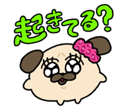 817387560