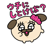 817387563