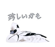 817409243