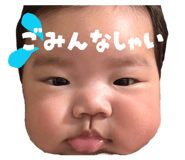 817425385