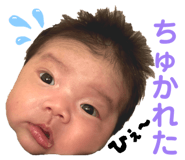 817425404